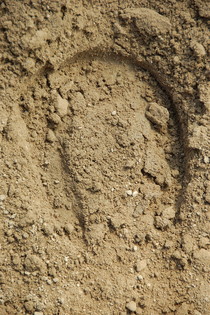 Reitunterricht Double H